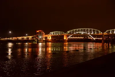 DSC_6714 (Large).JPG